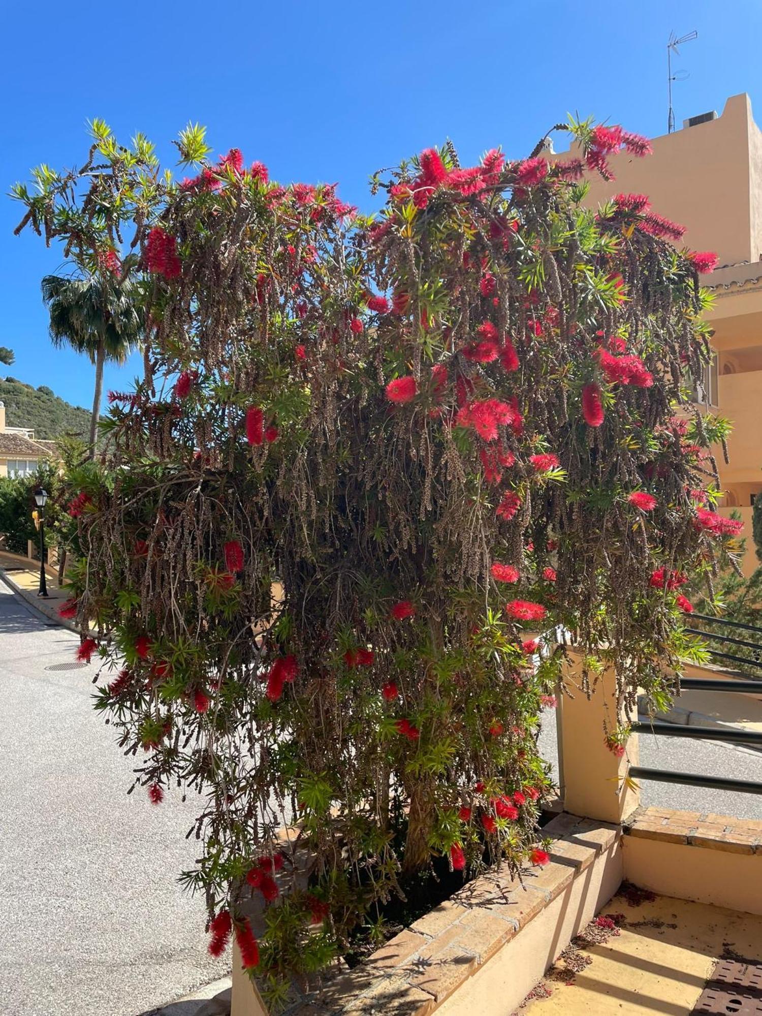 Santa Maria Village, Elviria, Marbella Exterior photo